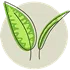 tea leaf